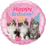 Birthday Kittens