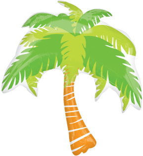 Summer Scene Palm Tree