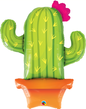 Potted Cactus