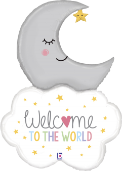 Welcome Baby Moon