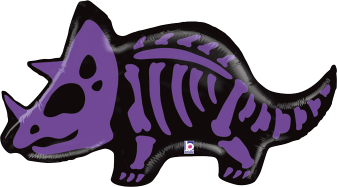 Triceratops Bones