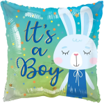 Boy Baby Bunny